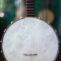 Banjos & Mandolins