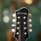 Eastman-MD805-SB1.jpg