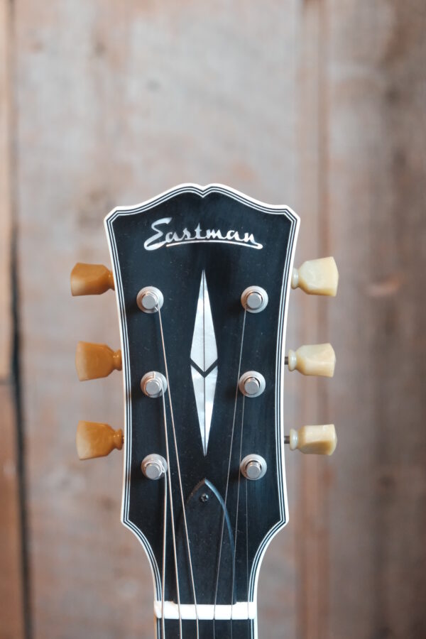 Eastman-SB541.jpg Eastman-SB541.jpg