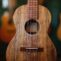 Martin-T1K-Tenor2.jpg