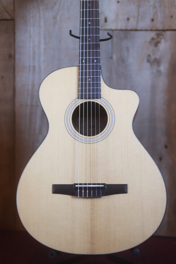 Taylor-112ce-N0.jpg
