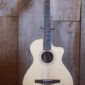 Taylor-112ce-N2.jpg