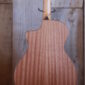 Taylor-112ce-N3.jpg
