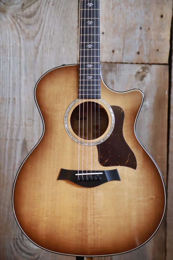 Taylor-514CE-Ironbark1.jpg