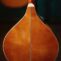 Trinity-College-Irish-Bouzuki2.jpg