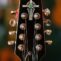 Trinity-College-Irish-Bouzuki3.jpg